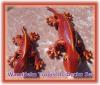 Tropischer Gecko Set